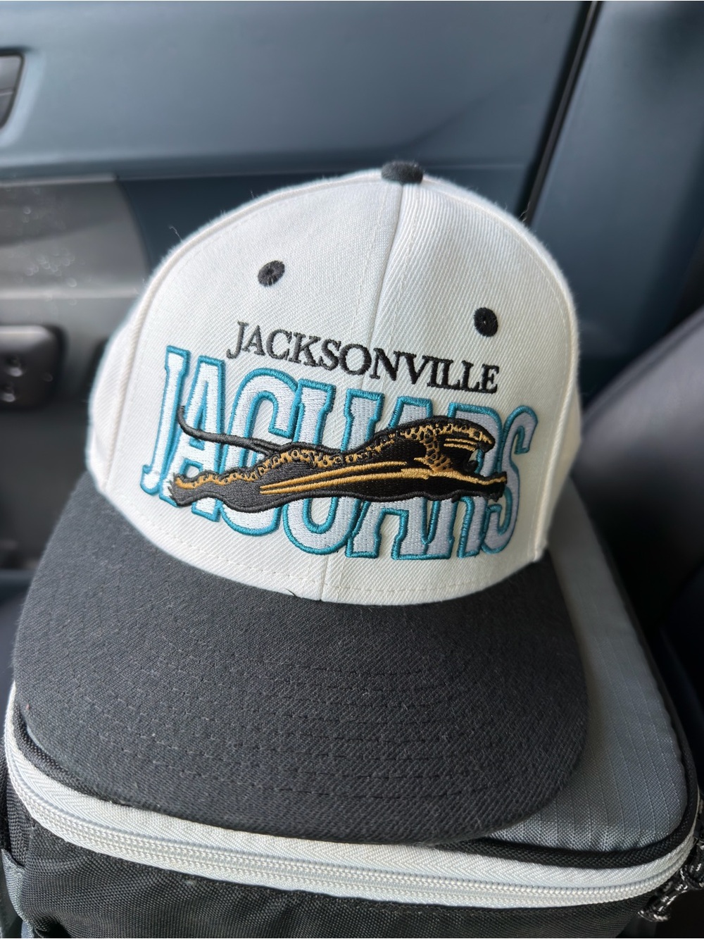 Jacksonville Jaguars Banned Logo Hat
